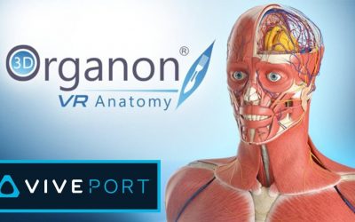 Blog 9 3D Organon: Amazing VR Anatomy Experience for Students