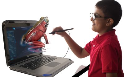 Blog 6 zSpace: Wonderful AR VR Laptop