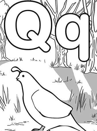 Q (Quail) 