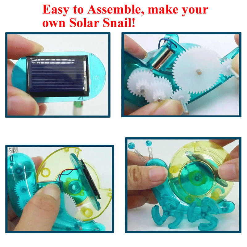 DIY Creative Educational Solar Snail 16