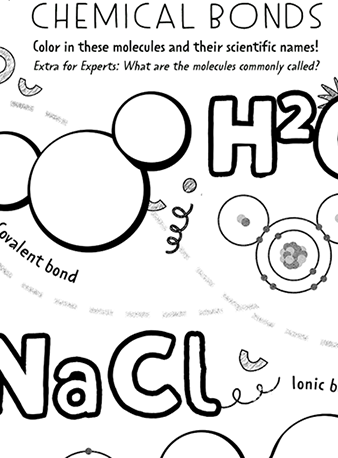 Chemical Bonds QuiverVision