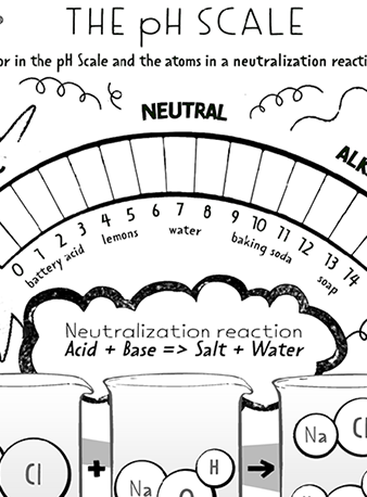 The pH Scale QuiverVision